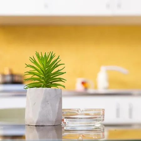 Appartement Modern *